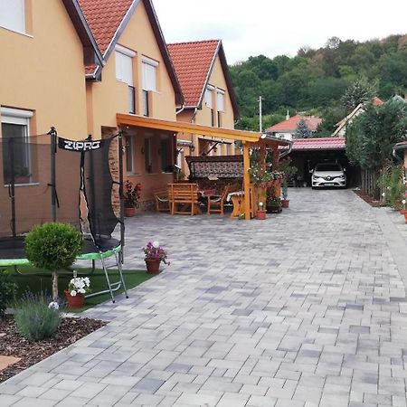 Вилла Agica Vendeghaz Andornaktalya Экстерьер фото