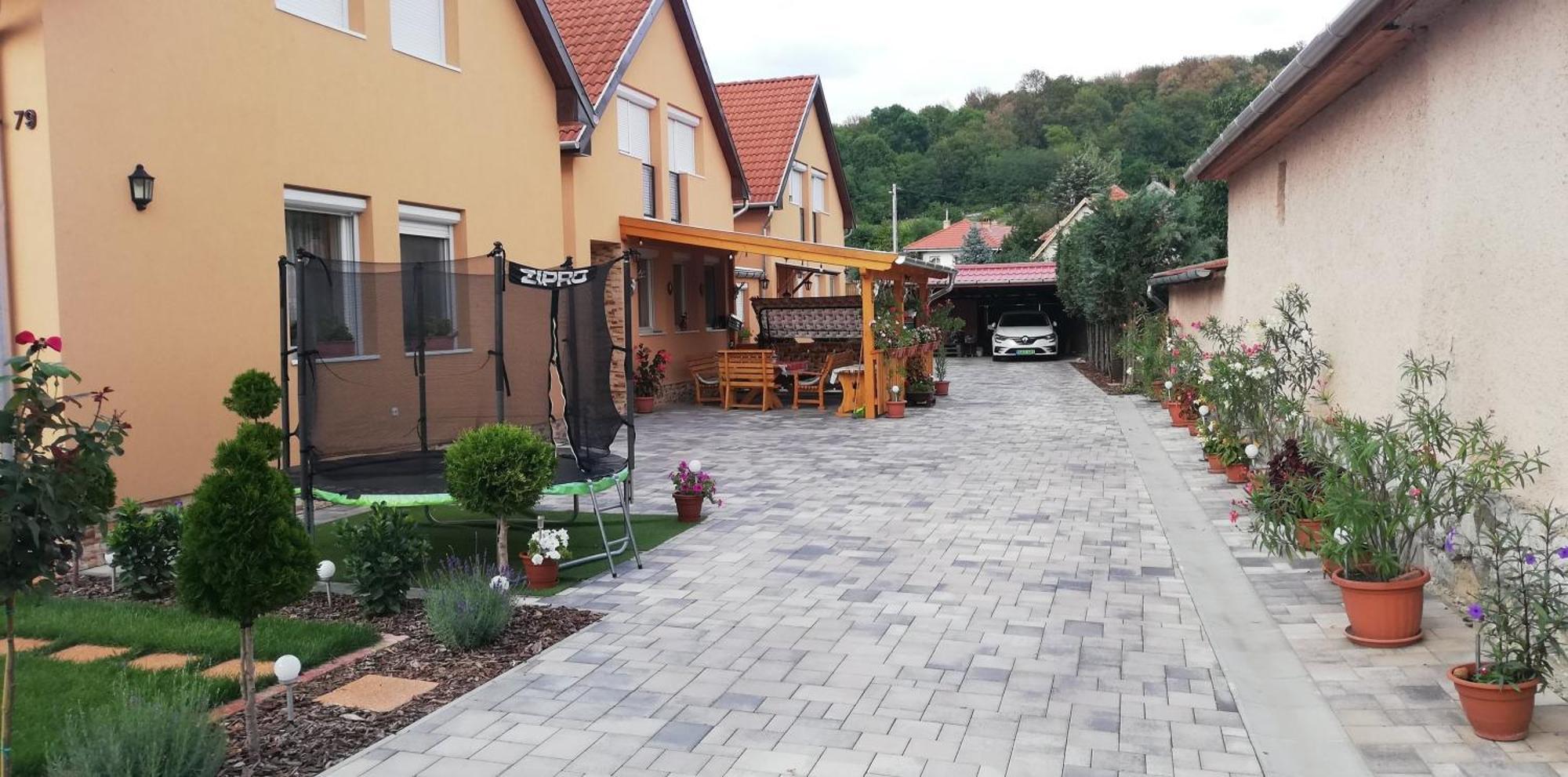 Вилла Agica Vendeghaz Andornaktalya Экстерьер фото